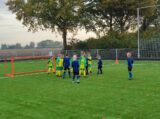 S.K.N.W.K. JO7-1 - Colijnsplaatse Boys JO7-1 (oefen) najaar seizoen 2022-2023 (43/103)